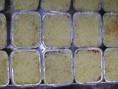 /album/comidas-especiales-/lasagna-tres-carnes-jpg1/